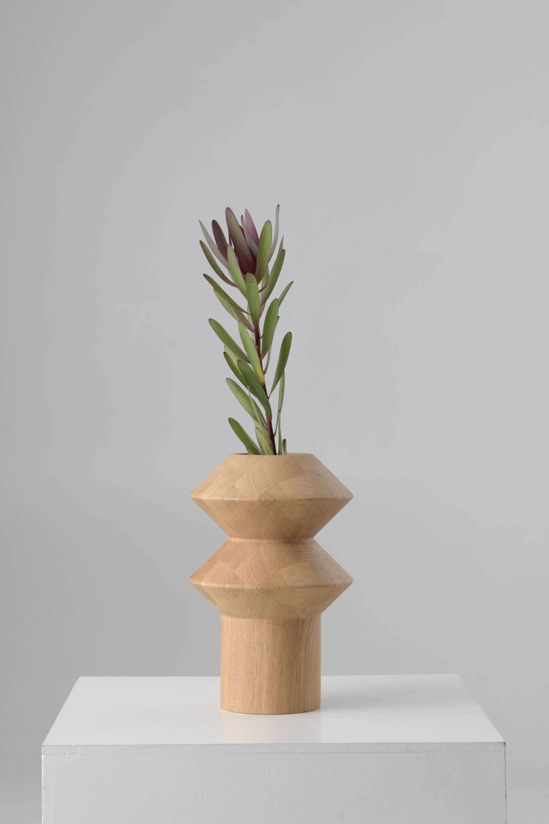 Tivoli
MODULA
Round oak vase — 3