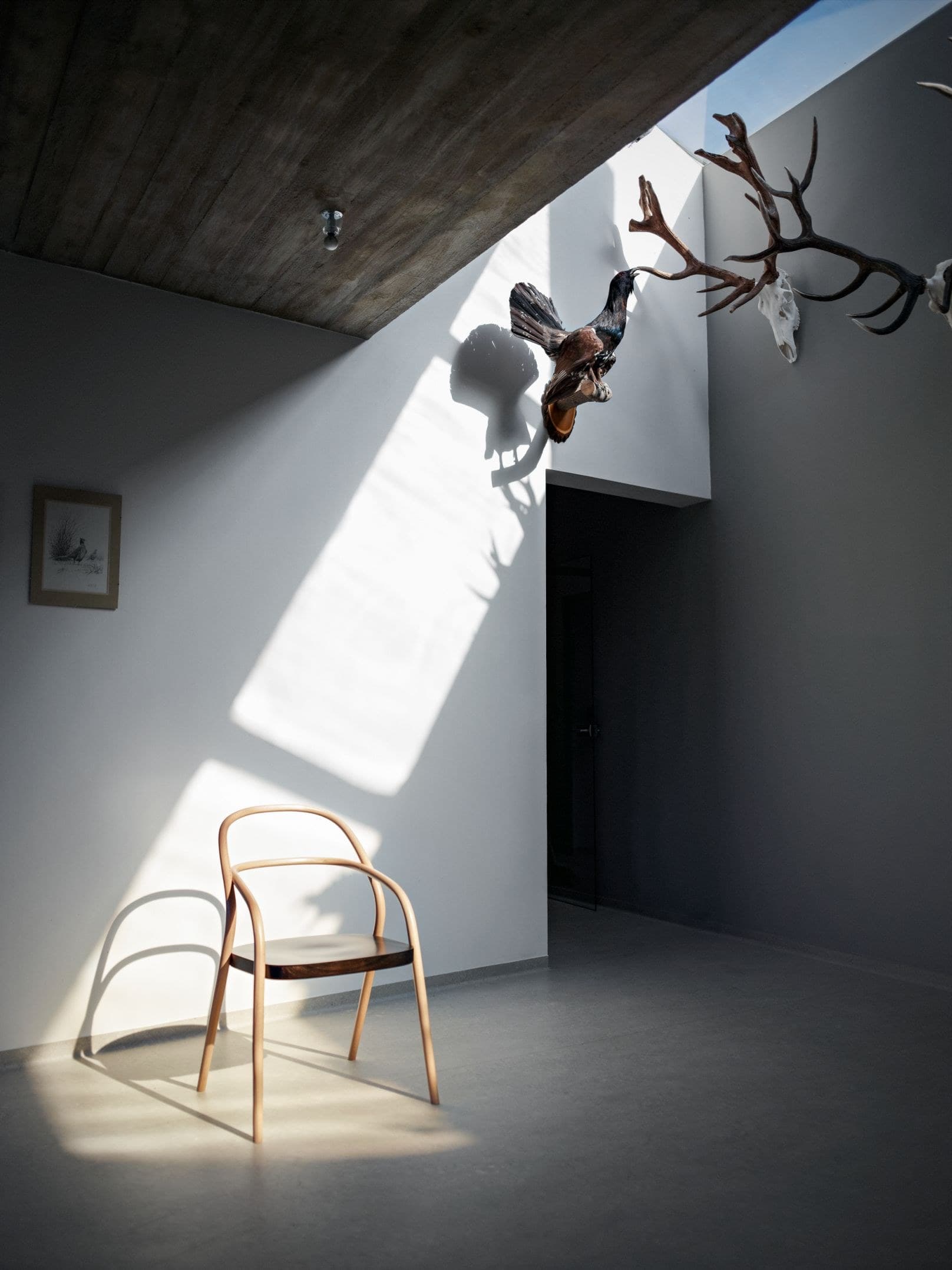 TON
002
Wooden chair — 7