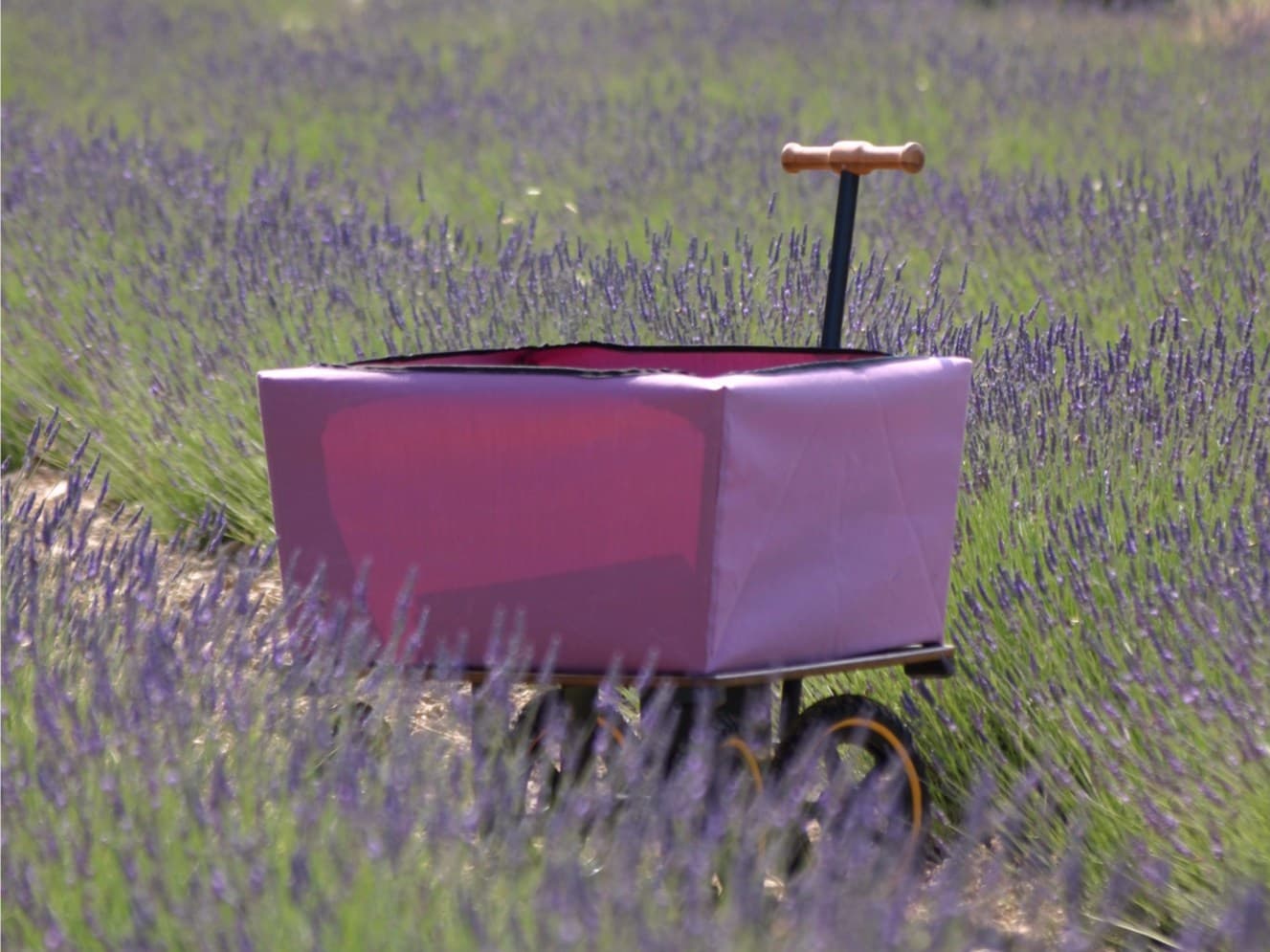 TRADEWINDS
WAGON
Garden trolley — 31
