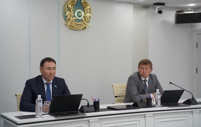 Отчёты и критика: Мнения депутатов Отчёты и критика: Мнения депутатов