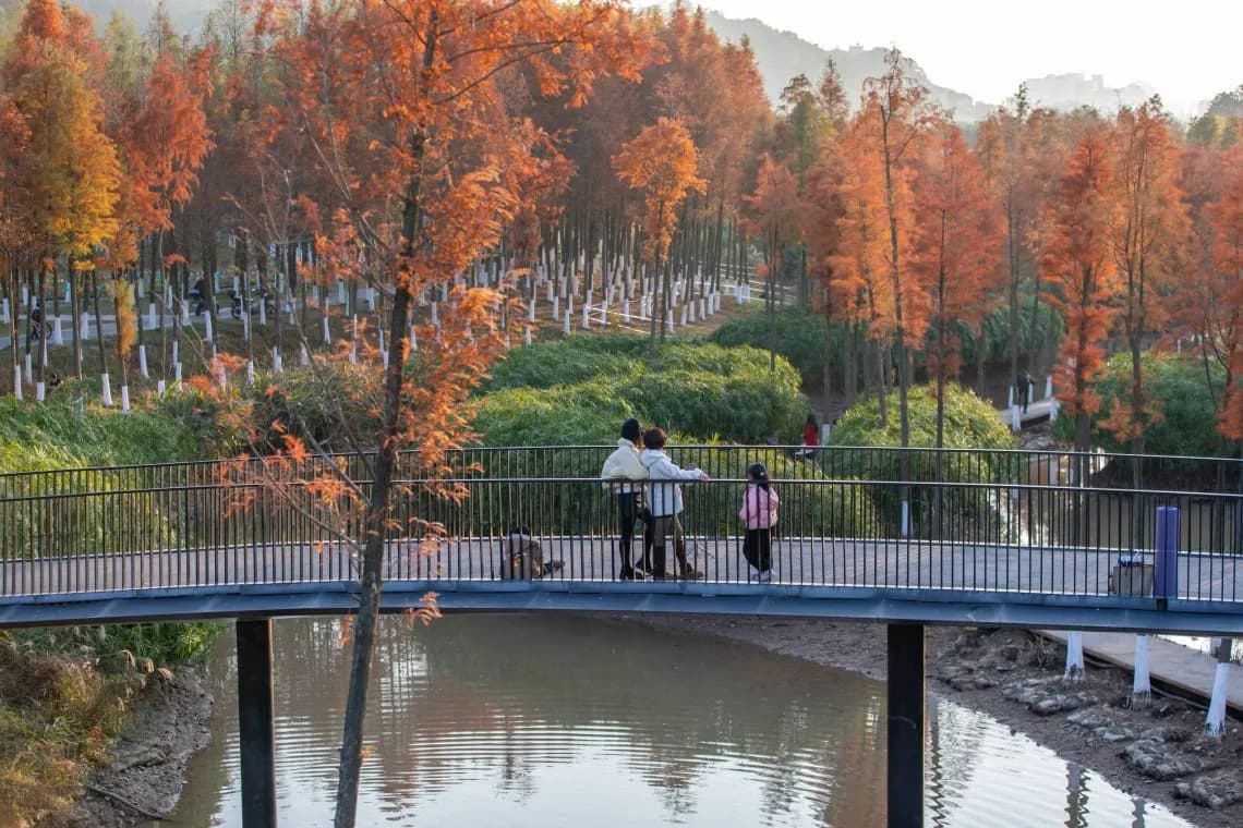 Ландшафт Года (Landscape of the Year 2025) – «Принимая Наводнение»: Экологический Коридор Реки Синьцзян (Embracing Flood: Xinjiang River Ecological Corridor),Turenscape Ландшафт Года (Landscape of the Year 2025) – «Принимая Наводнение»: Экологический Коридор Реки Синьцзян (Embracing Flood: Xinjiang River Ecological Corridor),Turenscape