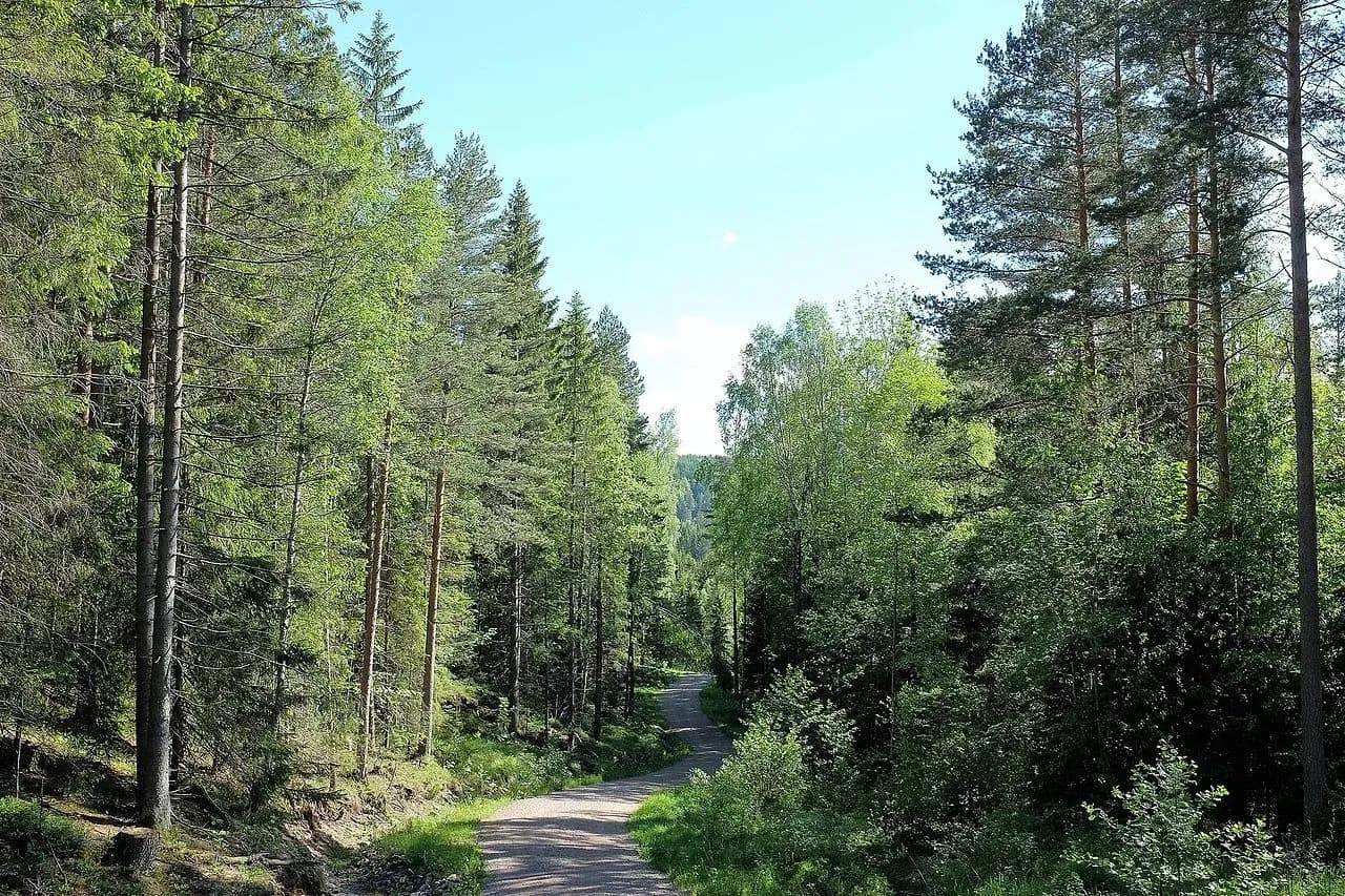Осло, Норвегия Осло, Норвегия