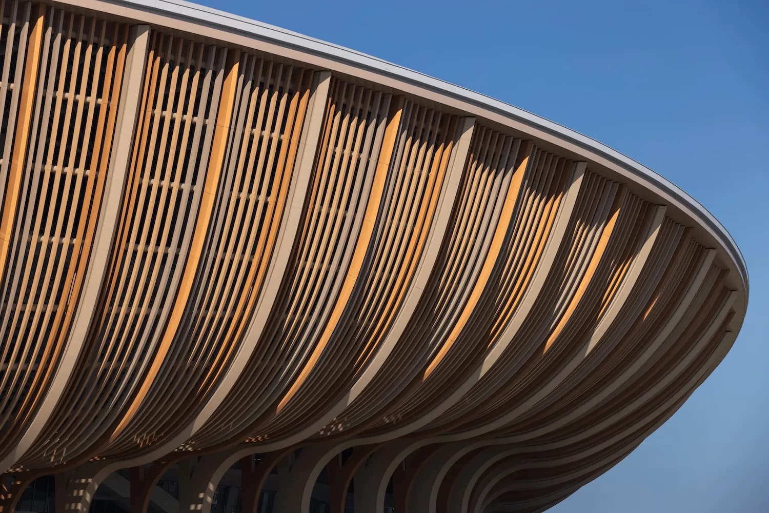 Greater Bay Area Sports Centre: Климатическая адаптация субтропиков — Фото 1 Greater Bay Area Sports Centre: Климатическая адаптация субтропиков — Фото 1