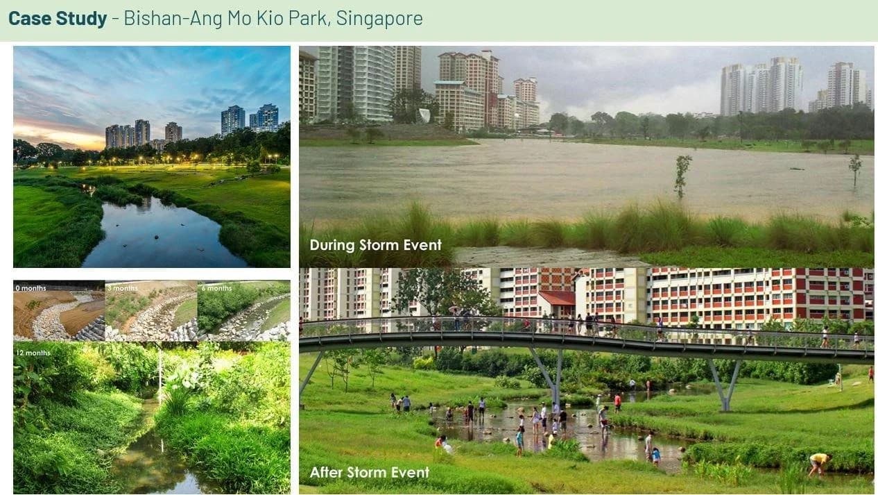 Проект Bishan-Ang Mo Kio Park в Сингапуре: адаптивная территория, аккумулирующая воду во время и после шторма. Проект Bishan-Ang Mo Kio Park в Сингапуре: адаптивная территория, аккумулирующая воду во время и после шторма.