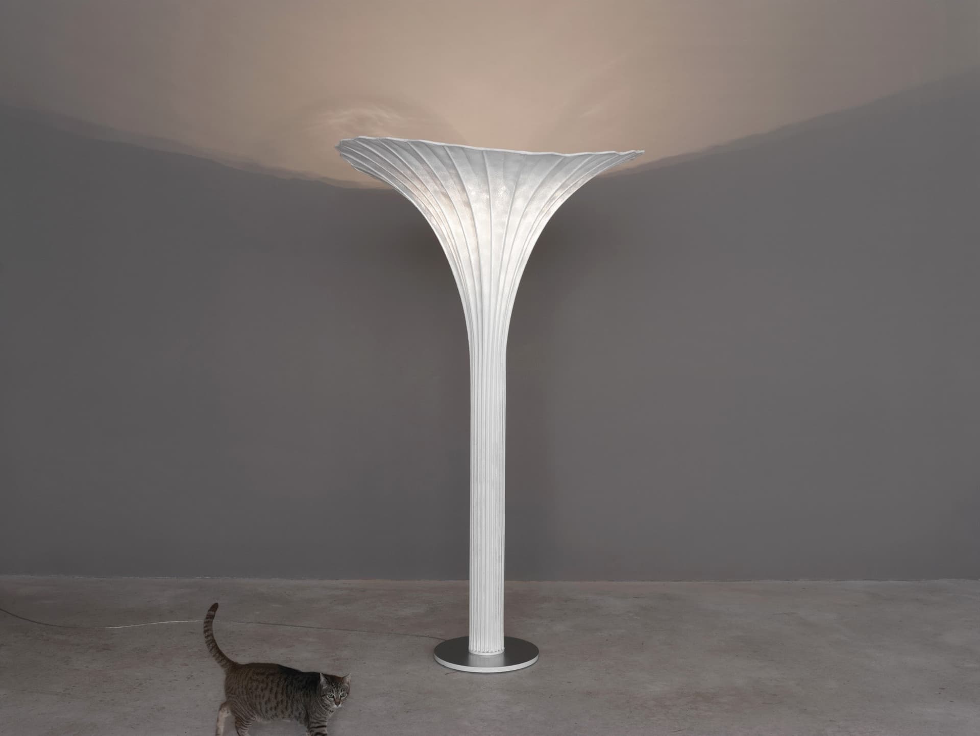 A-Emotional Light
AFRICA
LED stainless steel floor lamp