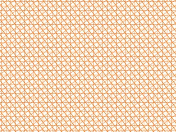 Abet Laminati
MONO ORANGE MEDIUM 6414
Decorative laminate