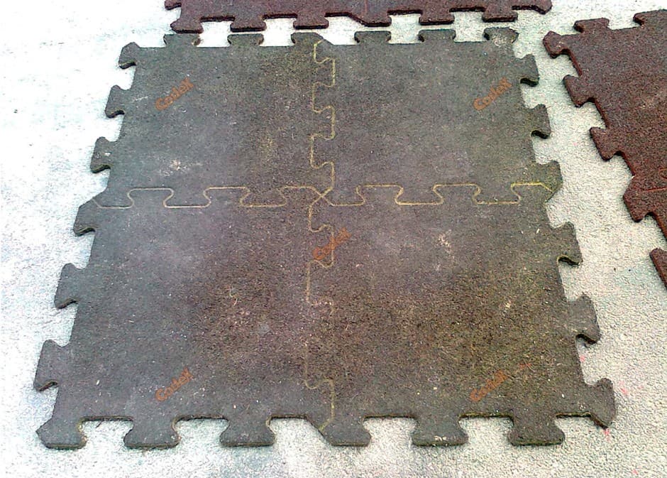 Codex