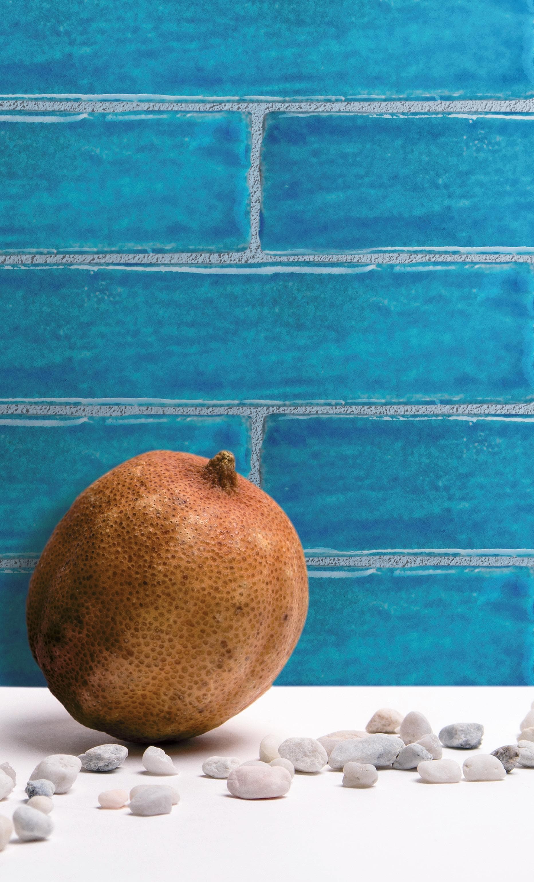 Danilo Ramazzotti
MARE
Indoor faïence wall tiles
