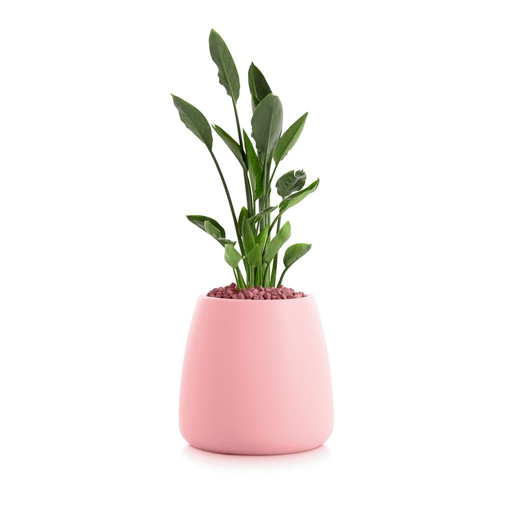 Diabla
GOBI 1
Plastic garden vase