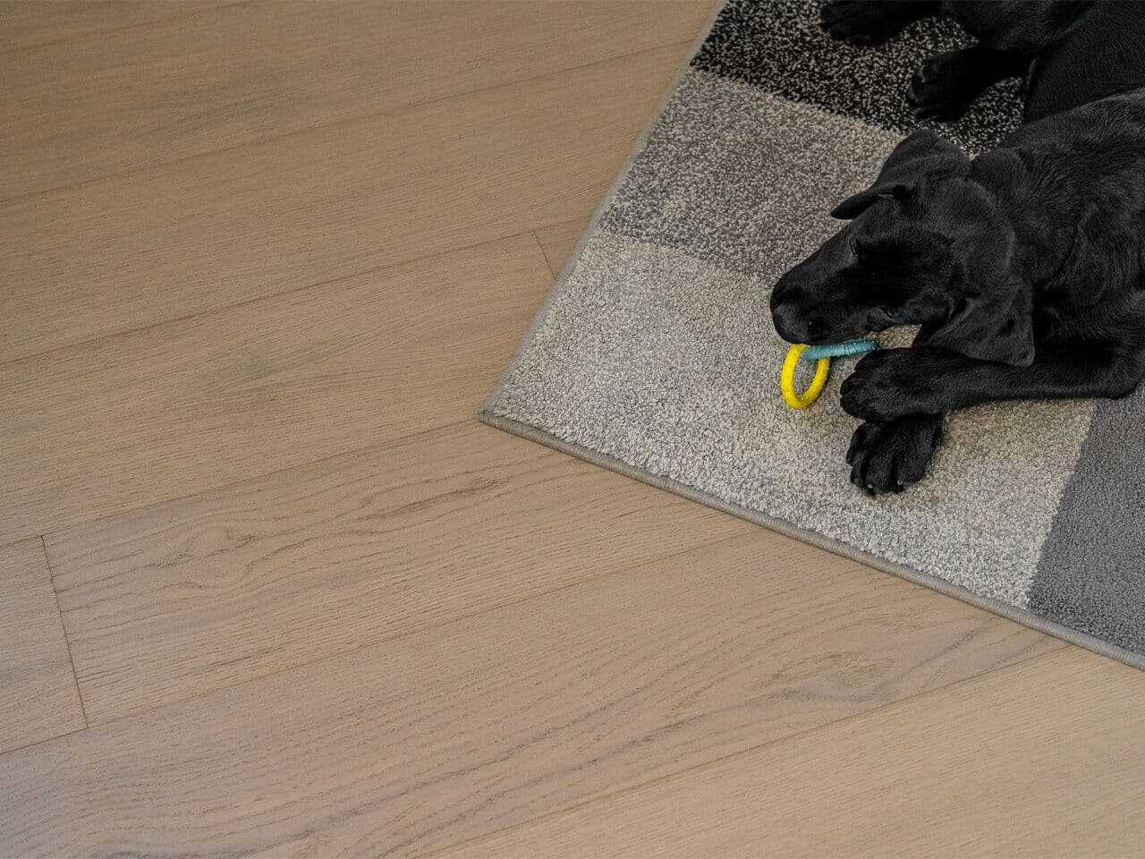 Florian
FAMILY DAIQUIRI
Wooden flooring