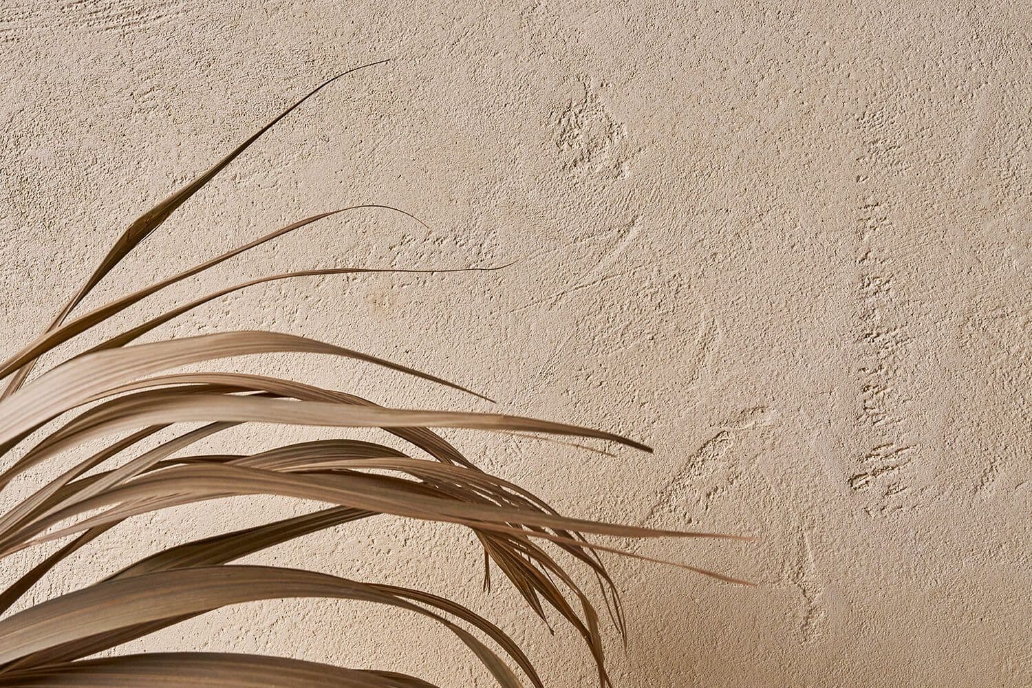 IDEAL WORK
TERRAE-CALCE MATERA
Decorative paint lime-based