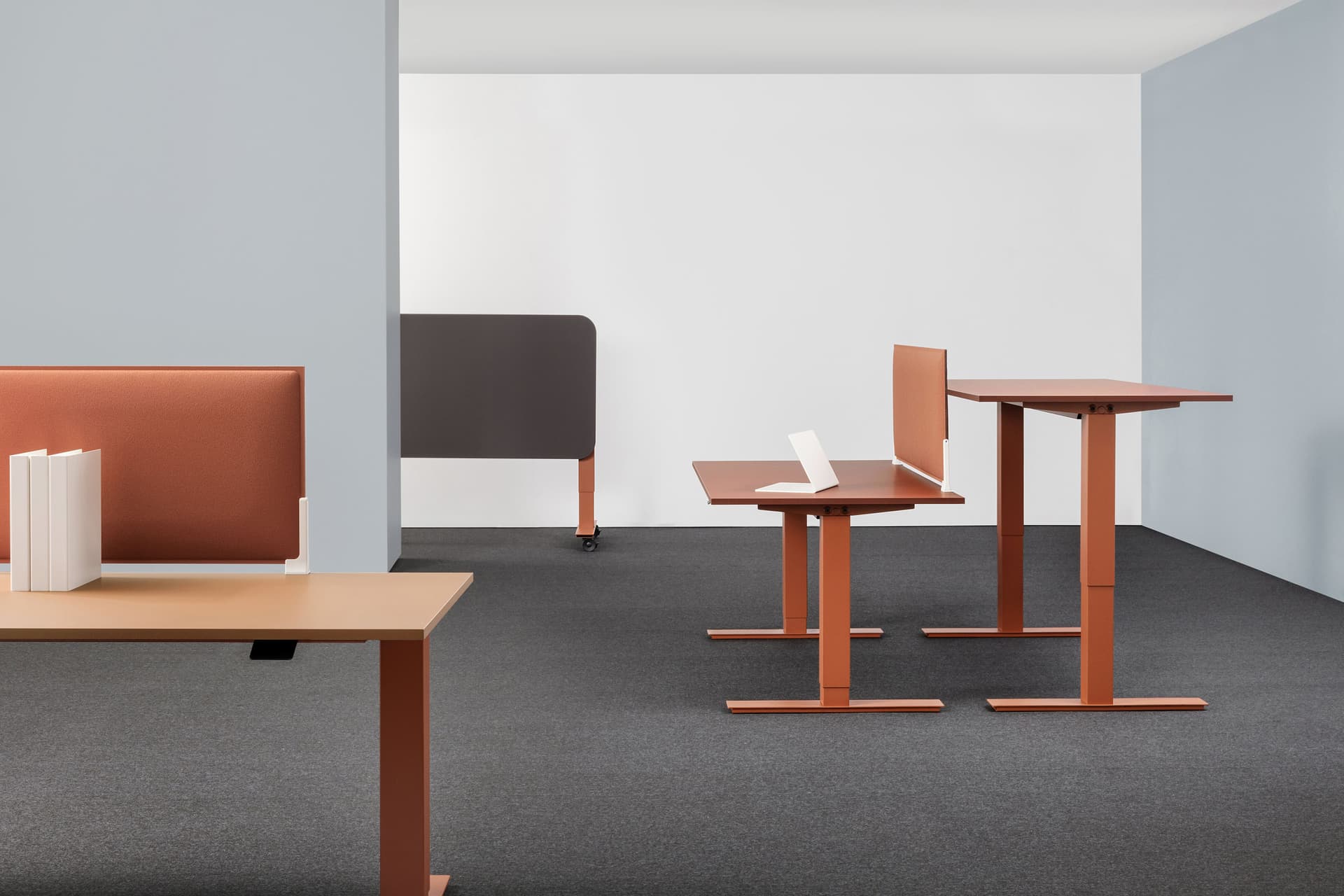 Mara
FOLLOW DESK MONOCROMATICO
Height-adjustable workstation desk