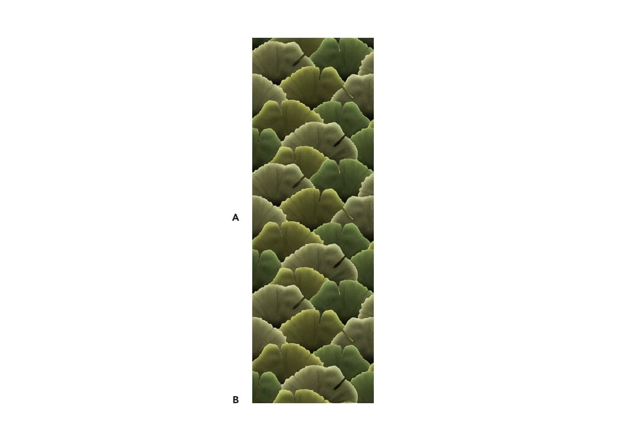 Officinarkitettura®
BILOBA
Wall tiles / wallpaper