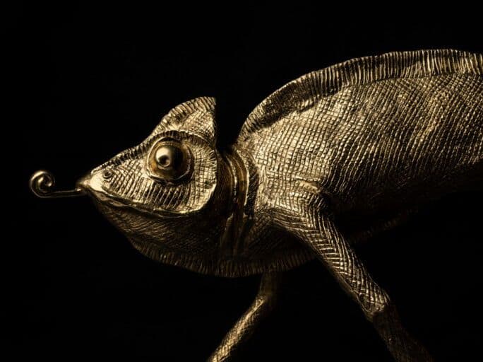 Pieter Adam
KARMA CHAMELEON
Brass decorative object