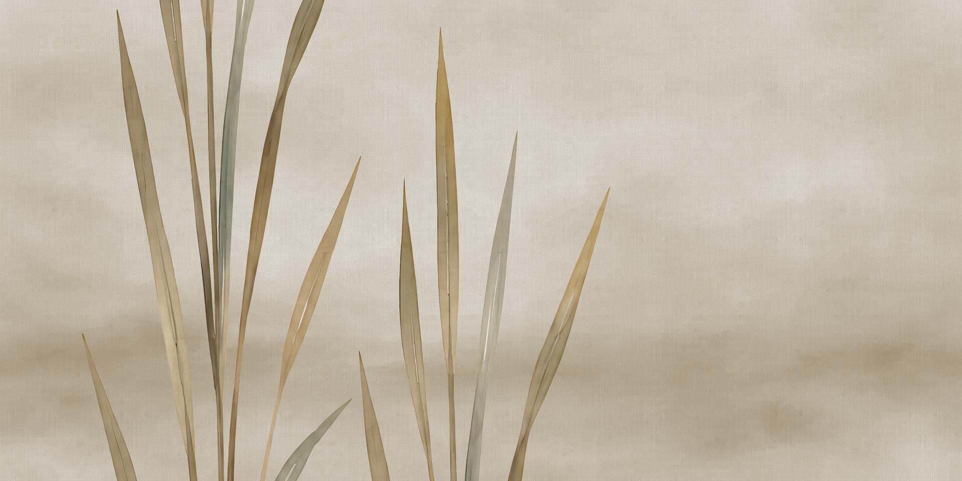 Rimura
AGAVE
Wallpaper with floral pattern