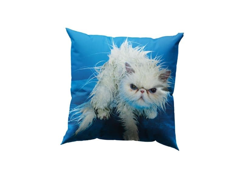 Seletti
ANGRY CAT
Square synthetic fibre cushion