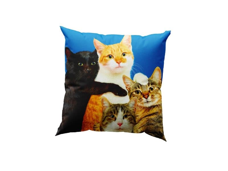 Seletti
POLYCATS
Square synthetic fibre cushion