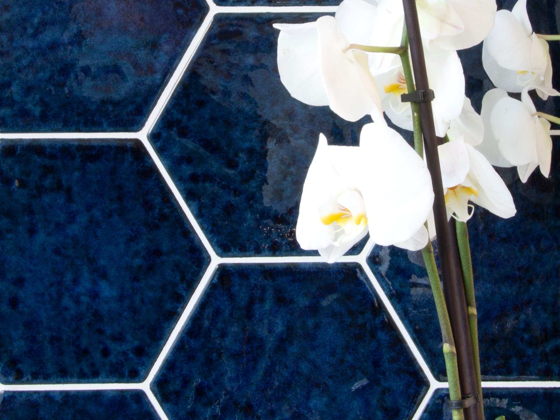 Tonalite
ESAMARINE
Glazed stoneware wall tiles