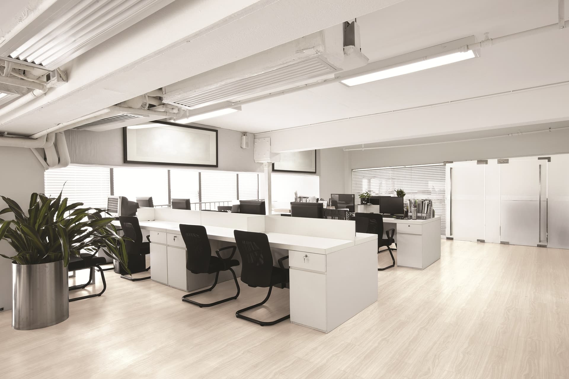 Virag Floors
EVOLUTION TACK DRY PLUS
Low thickness LVT floor